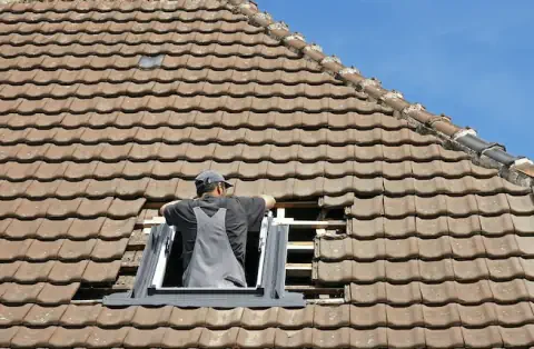 Pose de velux - Laplume